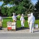 5 million bees fall off truck in Canada