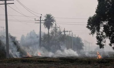 A farmer burns the stubble in a crop field in a village in Karnal district in the northern state of Haryana, India, November 4, 2023