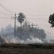 A farmer burns the stubble in a crop field in a village in Karnal district in the northern state of Haryana, India, November 4, 2023