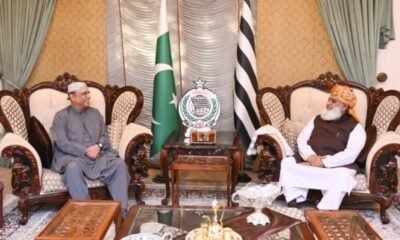 President Zardari met Maulana Fazlur Rehman, discussed the political situation